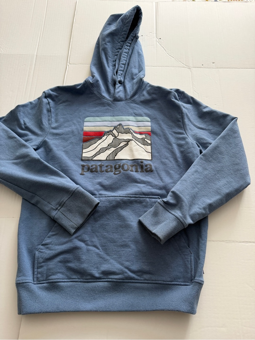 Patagonia Light Blue Pullover Hoodie with Mountain Graphic